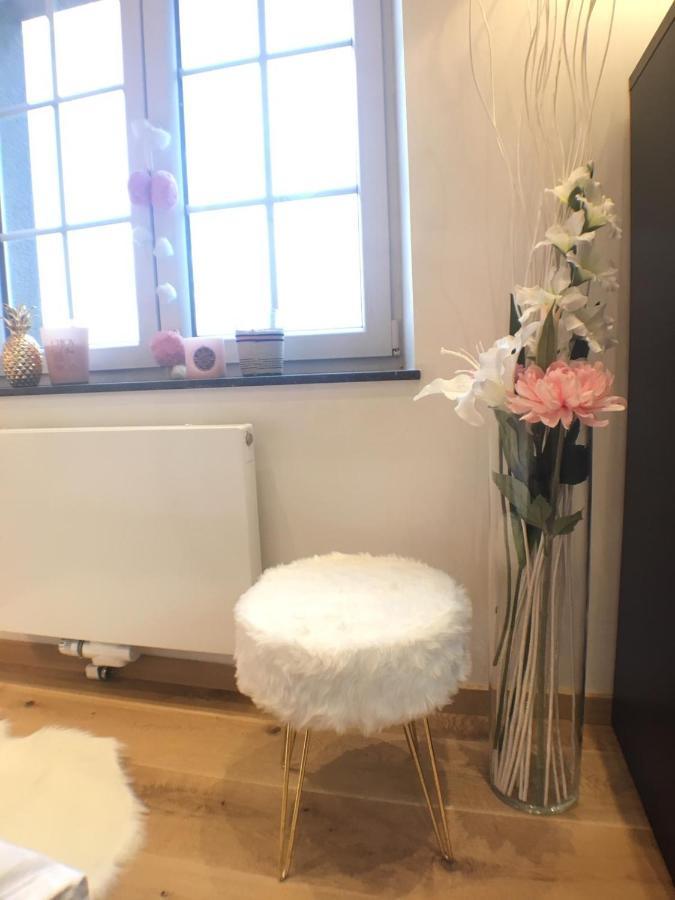 B&B Pegasus II - Chambre Familiale De Luxe Avec Sauna Privatif Vielsalm Exteriér fotografie