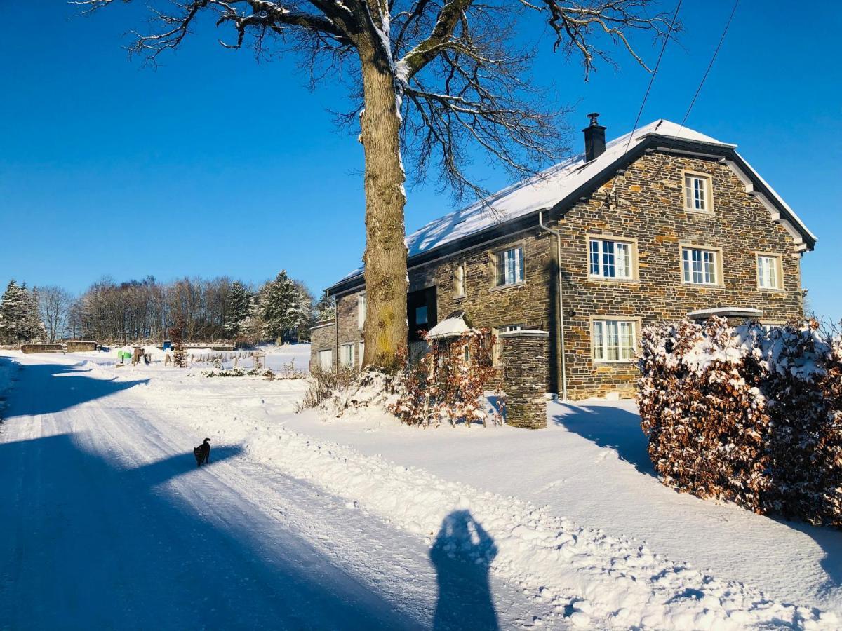 B&B Pegasus II - Chambre Familiale De Luxe Avec Sauna Privatif Vielsalm Exteriér fotografie
